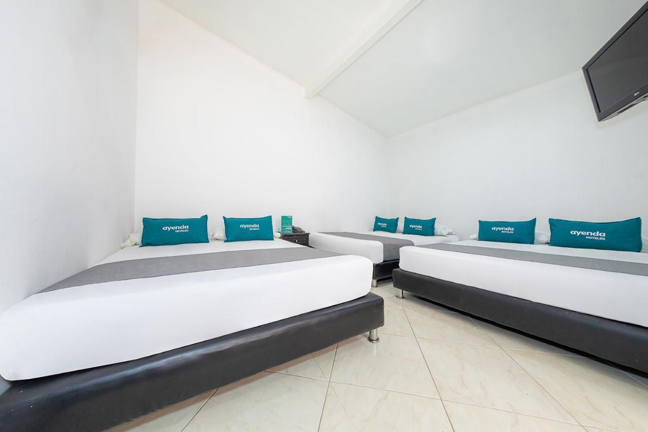 Ayenda Vittapark Hotell Medellín Exteriör bild